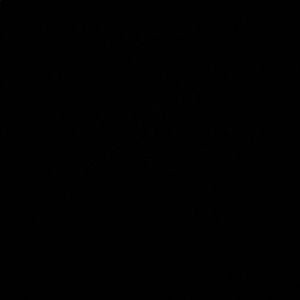 Meet your Posher, Isabel